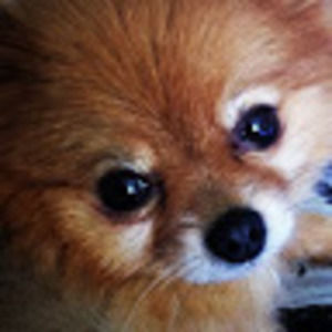 Meet your Posher, Camilla